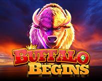 Buffalo Begins